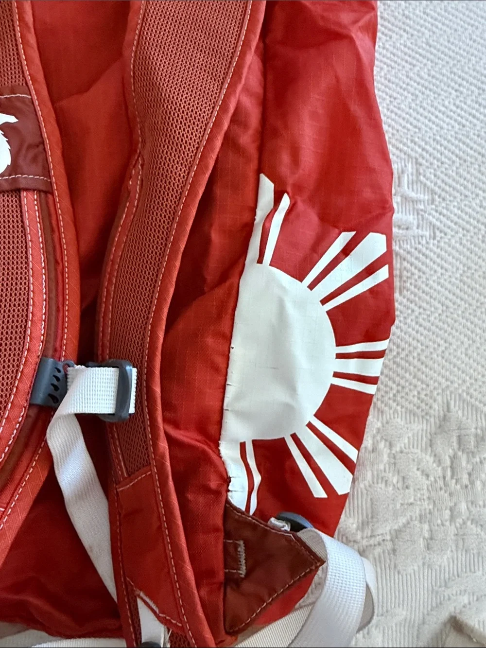Cotopaxi Luzon 18L Del Dia Daypack Backpack